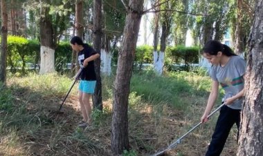 Шарбақтылық оқушылар өздерінің алғашқы табысына қол жеткізуде