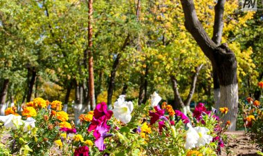 1 августа в Павлодарской области будет без осадков