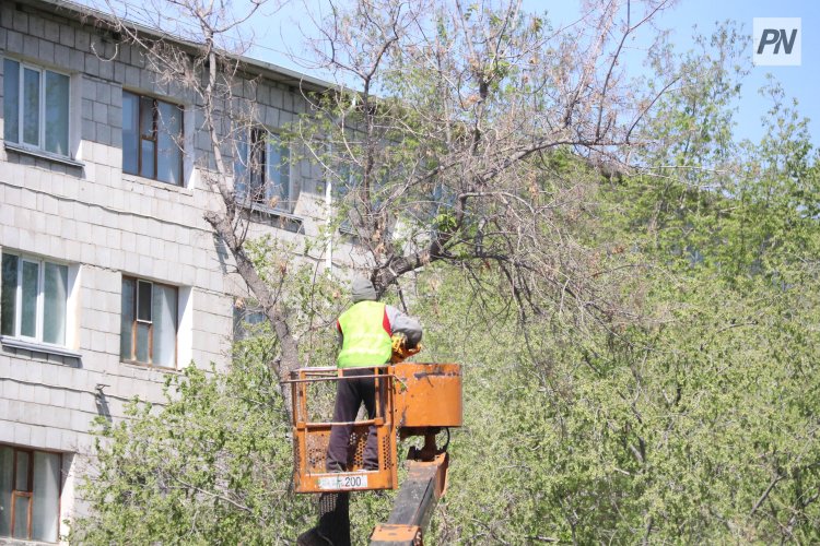 Ток соқты: Павлодарда үш жігіт зардап шеккен оқиғаның мән-жайы айтылды