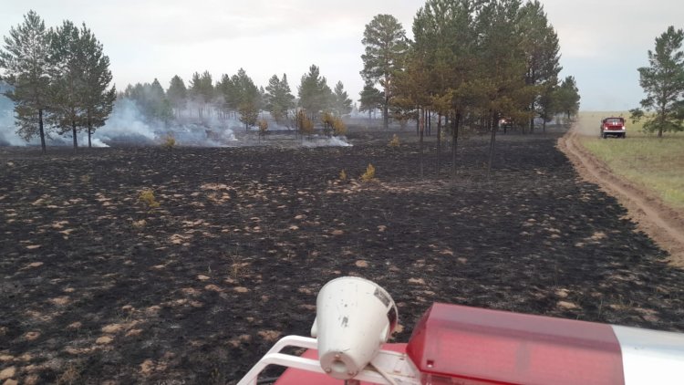 Пожар в лесхозе «Ертiс орманы» тушат огнеборцы
