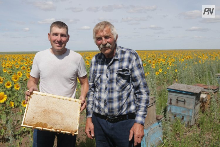 Секреты профессии: пчеловод