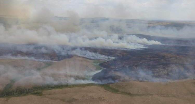 Более ста человек тушат пожар в Баянаульском национальном парке