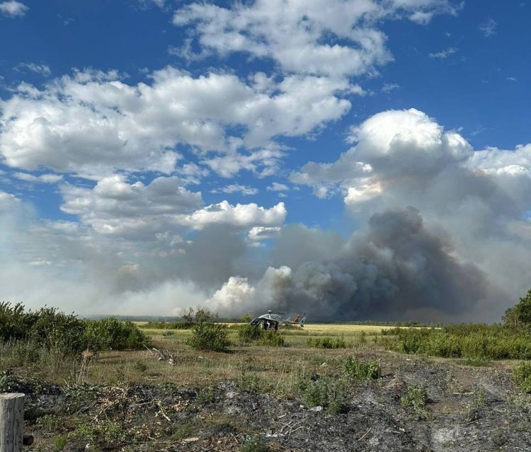 Три региона помогают тушить пожар в Щербактинском районе (ВИДЕО)