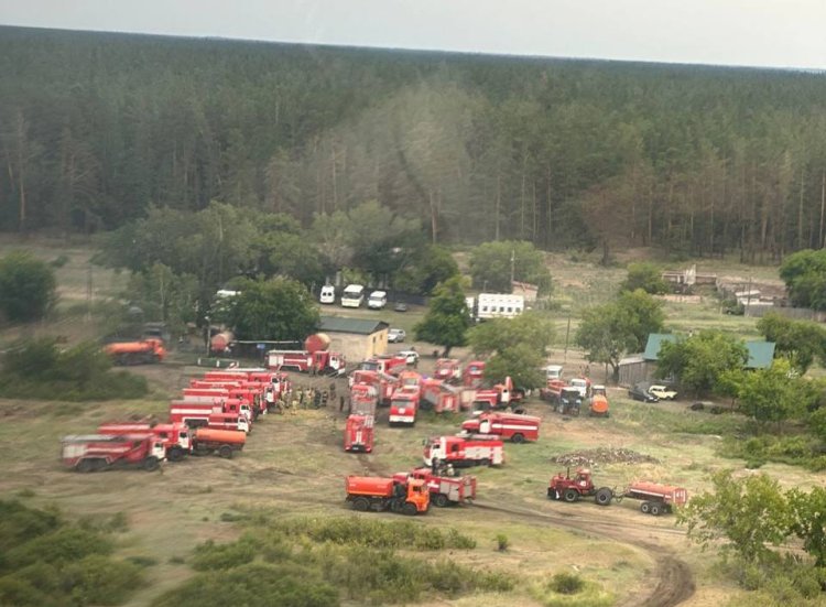 В Щербактинском районе продолжают тушить лесной пожар