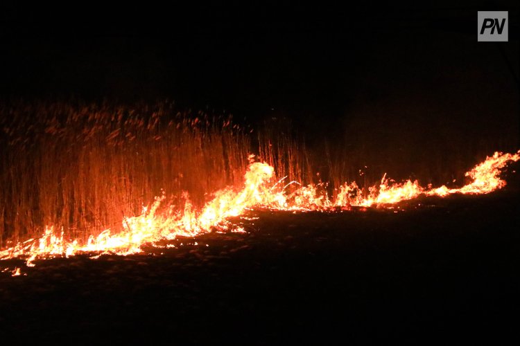 В Павлодарской области сохраняется высокий уровень пожарной опасности
