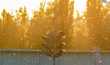 2 тамызда Павлодар облысында +35°C ыстық болады