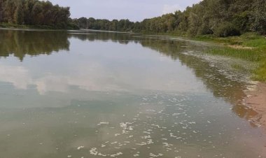 Почему в Мичурино позеленел Иртыш