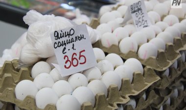Павлодарда ауыл шаруашылығы жәрмеңкесі өткізіледі