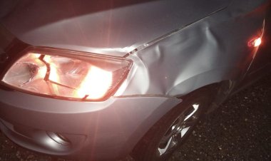 Павлодар облысында жылқылардың  кесірінен жол апаты орын алды