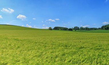 В Павлодарской области земли добровольно возвращают в госсобственность