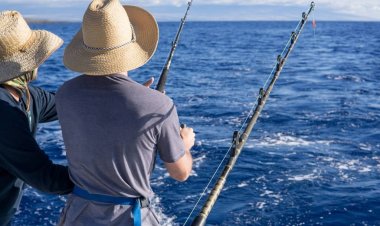 Вместо рыбы – кокаин: необычный улов попался в штате Флорида