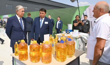 Президент Павлодар облысы кәсіпорындарының өнімдерімен танысты