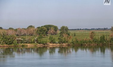 «Зелёный» пикник организуют в Павлодаре