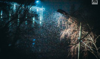 Сенбі күні Павлодар облысында жаңбыр жауады