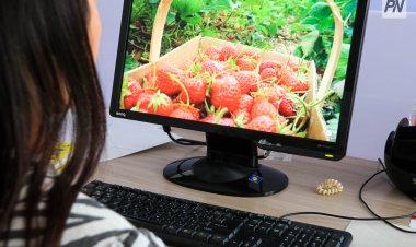 Чего не хватает жителям павлодарской глубинки