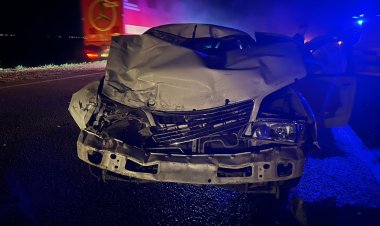 Иномарка врезалась в лошадей в пригороде Павлодара