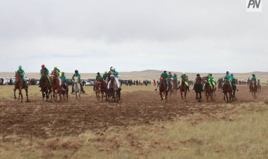 Мужчина попал в реанимацию после игры в кокпар в Баянауле