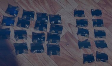 Павлодар облысында марихуана сатуды ұйымдастырған қылмыстық топ ұсталды (ВИДЕО)