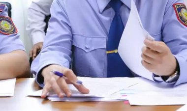 Шабандоз зардап шекті: Баянауылда өткен көкпарға қатысты тексеру басталды