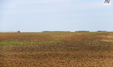 Железин ауданында қарақұмықтың 600 гектары күйіп кетті