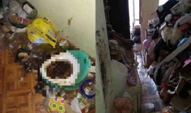 Екібастұздағы «Маугли балалардың тағдыры»: Анасы ата-ана құқығынан айырылады