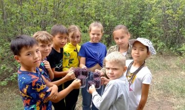 В павлодарской школе создали сад ради полезных обедов