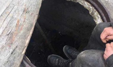 Павлодарцев попросили сообщать о бездомных