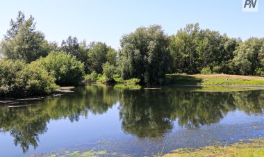 19 тамызда Павлодар облысында  ауа райы жауын-шашынсыз болады