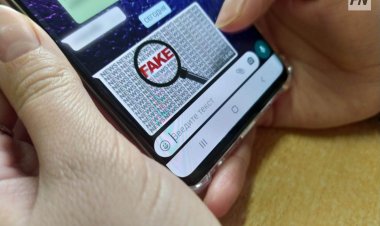 В Павлодаре стало меньше хулиганов и мошенников