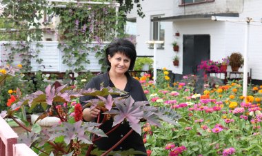 Павлодар ауданында ауыл тұрғыны ауланы экзотикалық гүлдермен көмкерді