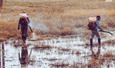 Тереңкөл әкімі қансорғыштарға қарсы жұмыс жайлы: Тұрғындар алғыс айтуда