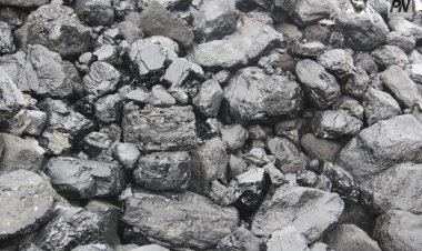 Павлодар облысында көмір бағасы қымбаттайды