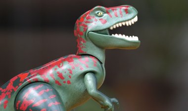 Бегущие в Сиэтле: соревнования среди «тираннозавров» прошли в США