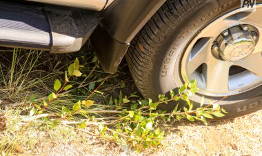 Полицейские Экибастуза спасли рыбака от смерти