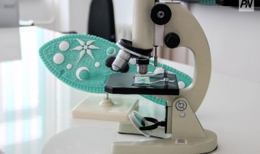 Павлодарлық студенттер мен ұстаздар пластик өндірісі әдісін ойлап тапты