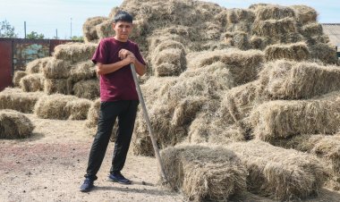 Овечки на выгуле: как семья из Павлодарского района исполнила мечту