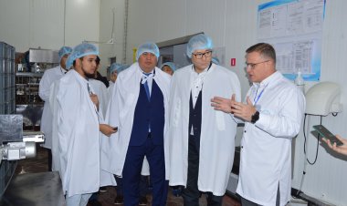 Что заметил представитель Минторговли в Павлодаре