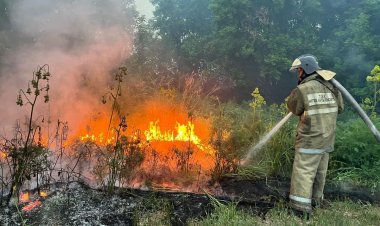 Павлодарская область оказалась самым горящим регионом