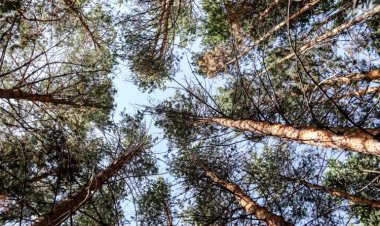 В павлодарском резервате ввели пропускную систему