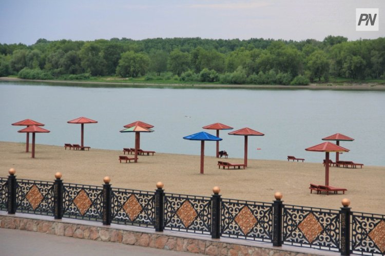 Американдық жыныстық тәрбие институты Жасырын камера бейтаныс және порно