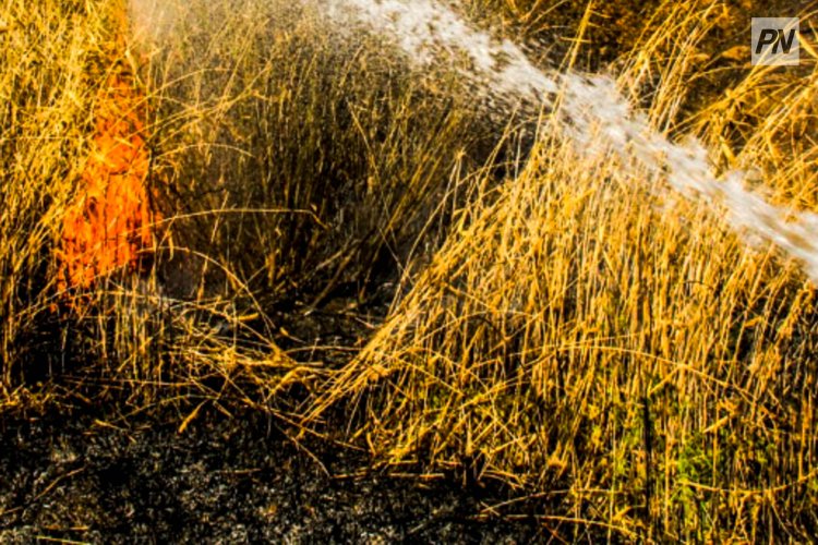Сухая трава загорелась возле сквера в Экибастузе