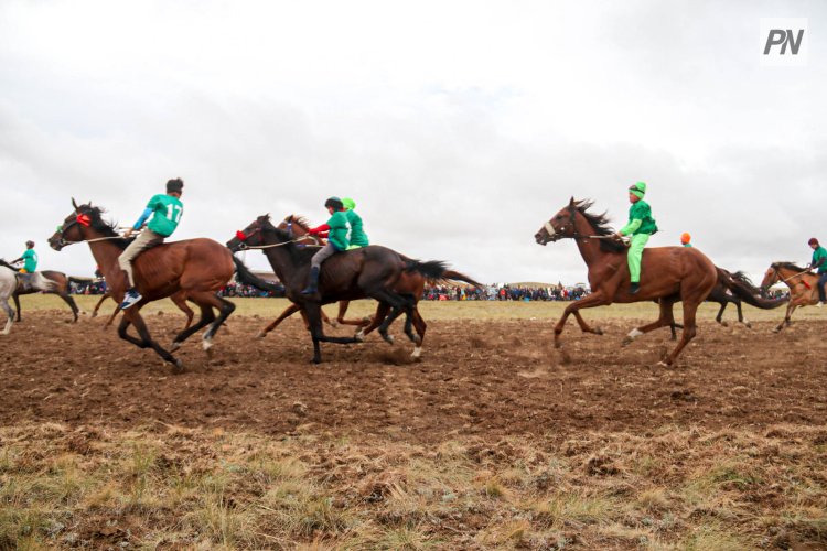 Более 20 миллионов тенге разыграют конники в Павлодаре