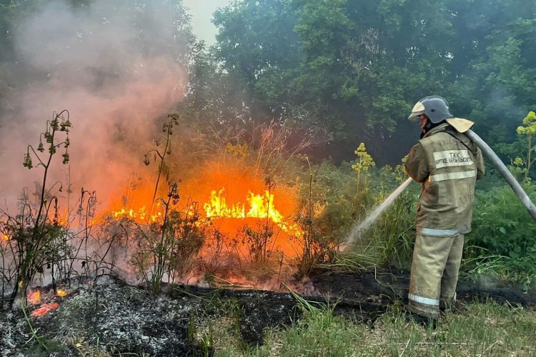 Павлодарская область оказалась самым горящим регионом