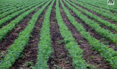 В крестьянском хозяйстве Павлодарской области построят сети электроснабжения и водоснабжения