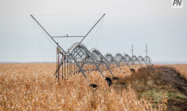 Павлодар облысында алқаптарды суару үшін электр және сумен жабдықтау желілері салынады