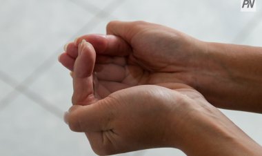 Аурика Дяк: Президент страны поставил задачу сохранения и экономии воды