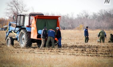 Успен ауданында түйіршіктелген жем-шөп шығарылады