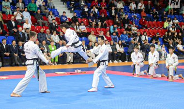 Павлодарлық алты спортшы Әлем чемпионатының жүлдегері атанды