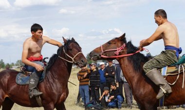 Байга, кокпар и аударыспак: конные соревнования провели в Актогае в честь юбилея