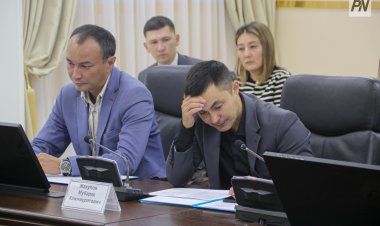 Десятки отделов неправильно оказывали госуслуги в Павлодарской области